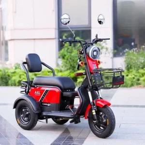 전기 자전거 3륜 전동 노인 스쿠터 어르신 배터리 삼륜차 화물 노인용 전기자전거 서비스