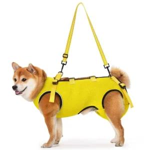 강아지 재활보조기구 하네스 보조기구 노견 뒷다리 장애견