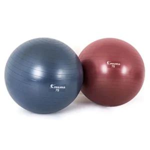 아이워너 안티버스트 짐볼 75cm 2컬러/자전거/다이어트/마사지/펌프/세트/대용량/보수볼/마사지볼/트레이닝