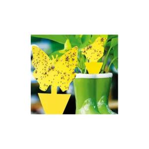 부희 초파리트랩 작은벌레