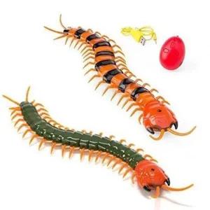 [셀러에이드]반디 지네 데일리 색상임의배송 RC 클래식