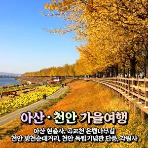 [충남] 아산 곡교천 은행나무길+현충사+천안 독립기념관 단풍나무숲길+각원사 가을 당일여행 / 서울경기出
