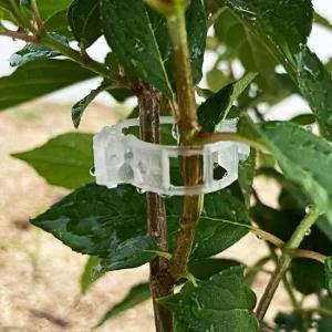 식물지지대 고정 타이 클립 투명 20P 토마토 집게 오이 집게 식물클립 토마토 식물 작물