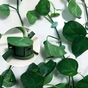 [콩심팥심]식물 지지대 덩굴 정리대 벽 부착 화초 지지용