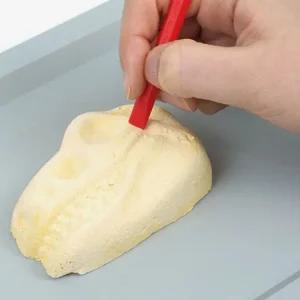 핑크풋 공룡화석 발굴키트 과학 어린이 장난감 ver.2