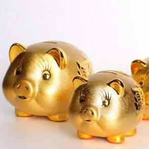 [셀러에이드]집들이 선물 황금돼지 복돼지 저금통 대형 특대형