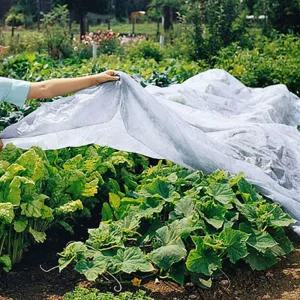 식물 보호 커버 정원 텃밭 방충 화분 덮개하우스 부직포 용비닐 농사비 농사용