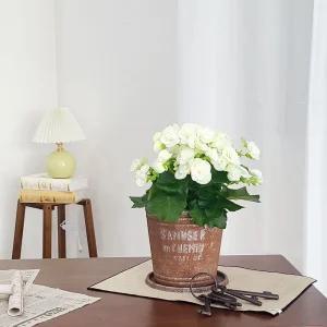 피클레온 양철 스타일 높은 원통 화분 (소) 20x19cm미니 대형 중형 거실 베란다 가드닝 플라스틱 인테리어