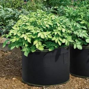 베란다 텃밭 대형 부직포 화분 2p세트(60x40cm) (블랙+그린) 가드닝용품 난간 인테리어 옥상 거실 나무 식