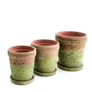 빈티지 이끼 시멘트 화분 베이직라인 D16x18cm 중화분 인테리어 소품 정원 꾸미기 식물키우기 원예용품 가