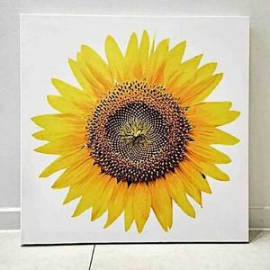 돈 들어오는 해바라기 큰 꽃송이 액자 해바라기그림