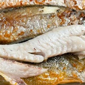 농가살리기 국산 천일염 섭간 정품 영광굴비 1.3kg 내외 (총 20미/중소)