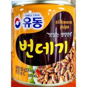 번데기캔(유동 280g) X24