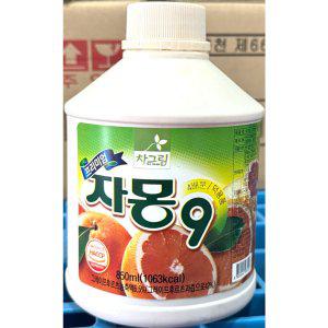 자몽원액(고려FB 850g) X12