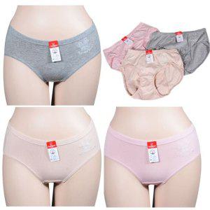 생리팬티 3컬러 캐릭터 캐릭터팬티 위생팬티 자