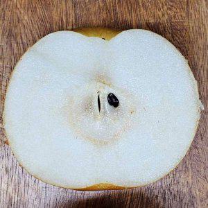 신고배 15kg 중과