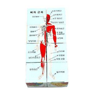 공작 공작공예세트 사각퍼즐재료 인형만들기 인형퍼즐