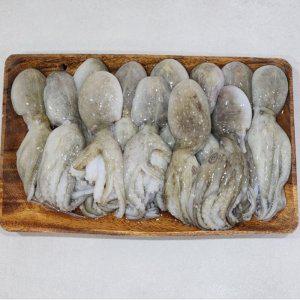 VDD 대왕 선동 활 쭈꾸미 1kg (반품불가)