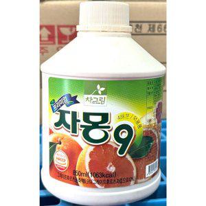 자몽원액(고려FB 850g)