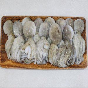 VDD 대왕 선동 활 쭈꾸미 1kg