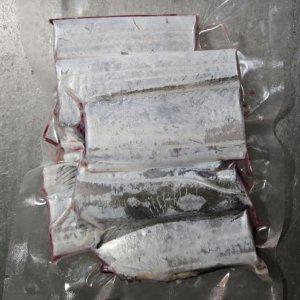 제주 생물 은갈치 2미