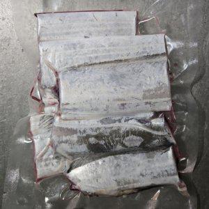 제주 생물 은갈치 8미