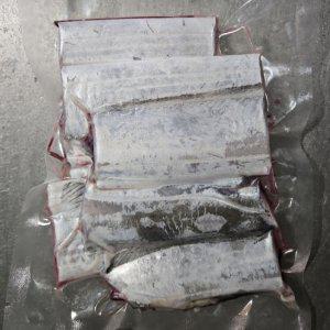제주 생물 은갈치 10미