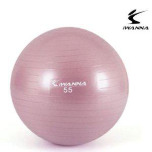 다-이어트 짐볼 땅콩 돔볼 밸런스팟 와일드핑크