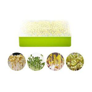 콩나물 새싹 재배기 가정용 식물 채소 기르기 수경