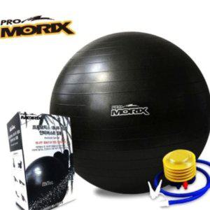 짐볼 보수 밸런스볼 운동 운동법 하프 미니 발란스볼 대나무 참숯 안티버스트 짐볼 65Cm