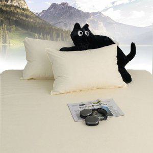 침대커버 팬션 여행용 침구 여름 매트 샤이니 40수 순면 홑 매트리스커버 킹 K 베이지