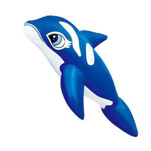 돌고래 아라칸비교 아라칸베스트 아라칸세일 물놀