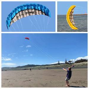 무료 배송 2.5m 듀얼 라인 스턴트 파워 연 소프트 연 Parafoil kitesurf 플라이 야외 재미 스포츠 전문 연 중국 연
