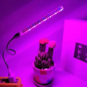 USB 5V LED 성장 빛 21LED 전체 스펙트럼 빨간색 & 파란색 식물 성장 램프 식물에 대 한 실내 Phytolamp 꽃 모 종 온실