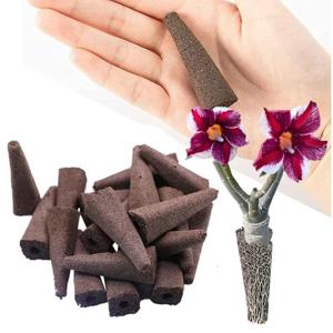 사막 장미 파종 브래킷 무토양 배양 블록 생존 Adenium Obesum 자연 식물 꽃 심기 영양 조건