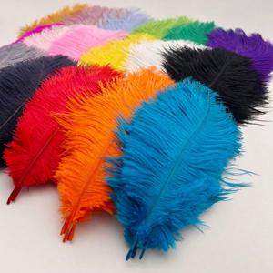 10PCS 큰 타조 깃털 15-60cm DIY 공예 웨딩 테이블 센터 장식 타조 Plumas 카니발 파티 무대 액세서리 대량