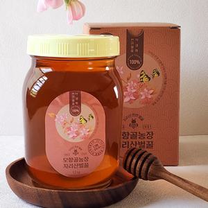 지리산모향골 국산 자연 벌꿀 야생화꿀 1.2kg