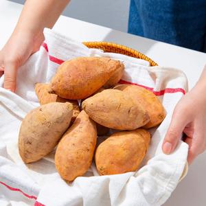 [더조은] 국내산 황토 꿀밤 고구마 3kg 대(300g이상)