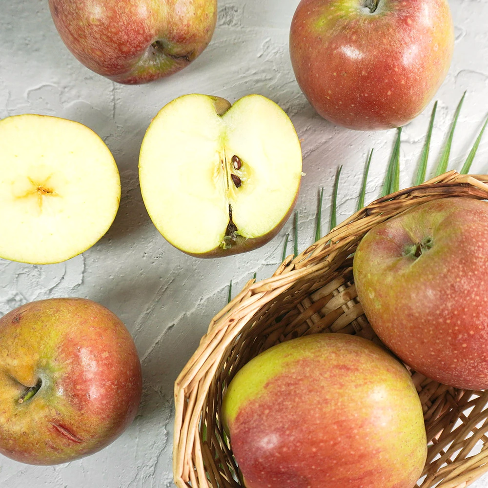 [더조은] 경북 감홍사과 실속형 2kg 4-6과