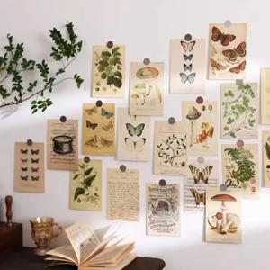 30 개 레트로 고대 숲 동물 식물 견본 엽서 빈티지 크리 에이 티브 쓰기 인사말 엽서 Diar Journals DIY