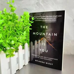 【재고 있음】The Mountain Is You: 자기 파괴를 자기 통제로 전환하는 영어 도서