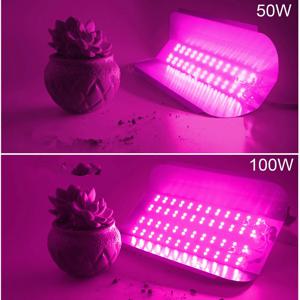 LED COB 로딘 텅스텐 스펙트럼 LED 성장 핑크 380-840nm 100W 50W AC 220V 110V led IC 식물 조명 홍수 빛 야채 계획