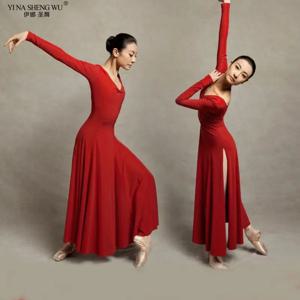 볼룸 왈츠 현대 무용 발레 댄스 경연 대회 드레스 표준 발레 옷 탱고 드레스 여성 성인 볼룸 댄스