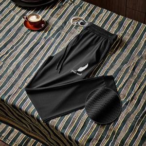 남성용 여름 청소년 메쉬 아이스 실크 캐주얼 바지, 슬림 둘레 바지, 학생 스포츠 바지, 젊은 통기성 빠른 건조 바지, 신제품