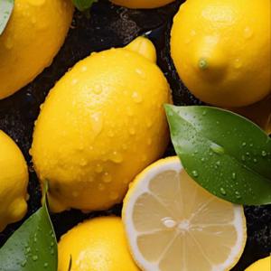 [푸디앤 ] 펜시 레몬 소과(개당 100g) 대과(개당120g) 특과(개당 140g) /미국 호주 칠레산 중 출고 글로벌 표준등급