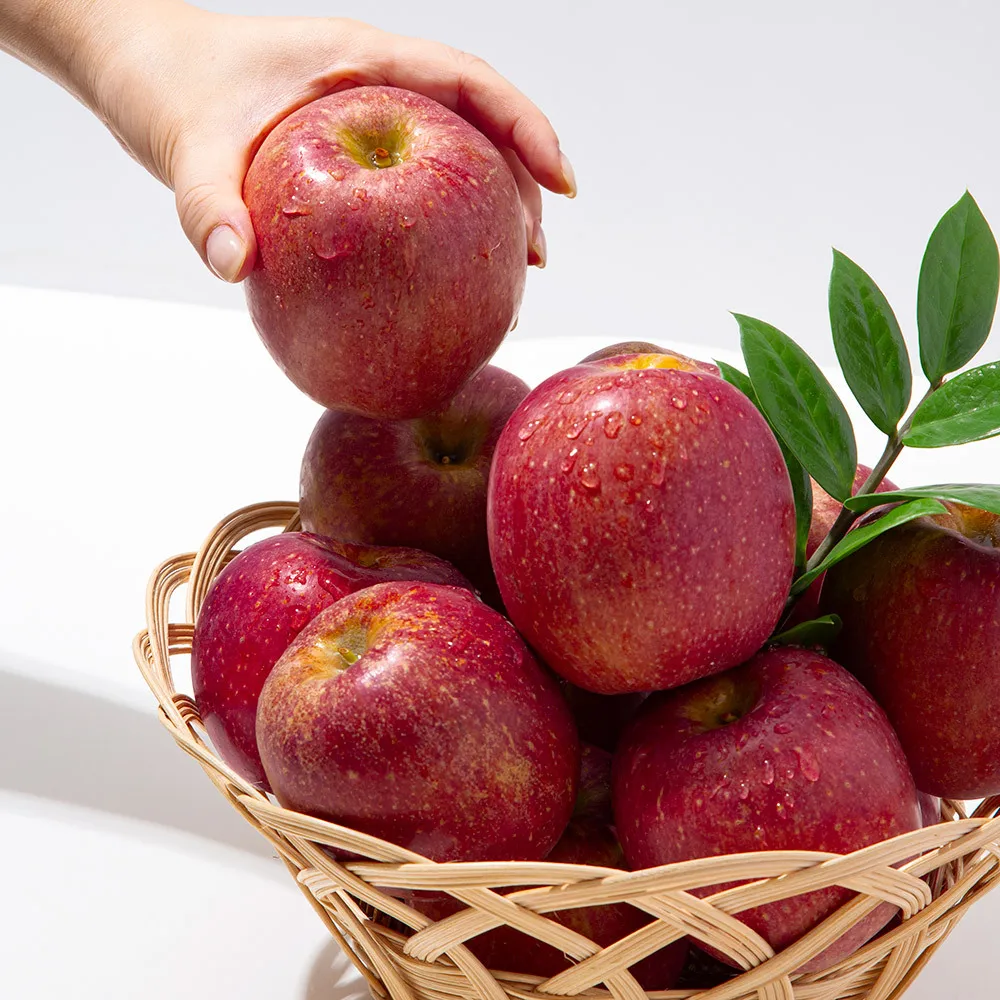 [더조은] 경북 감홍사과 실속형 2kg 10-13과