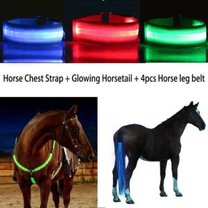 3Pcs LED 말 다리 가슴 꼬리 스트랩 승마 승마 빛나는 승마 야간 조명 보이는 말 승마 장비