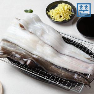 [훈훈수산] 통영 자연산 바다장어 손질 국내산 아나고 붕장어 1kg