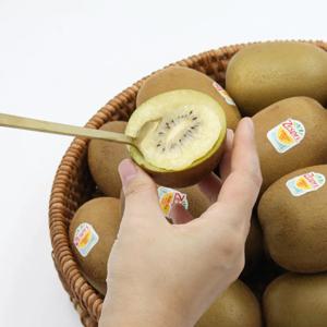 제스프리 썬 골드키위 선물세트 20입 특대과 2.4kg내외