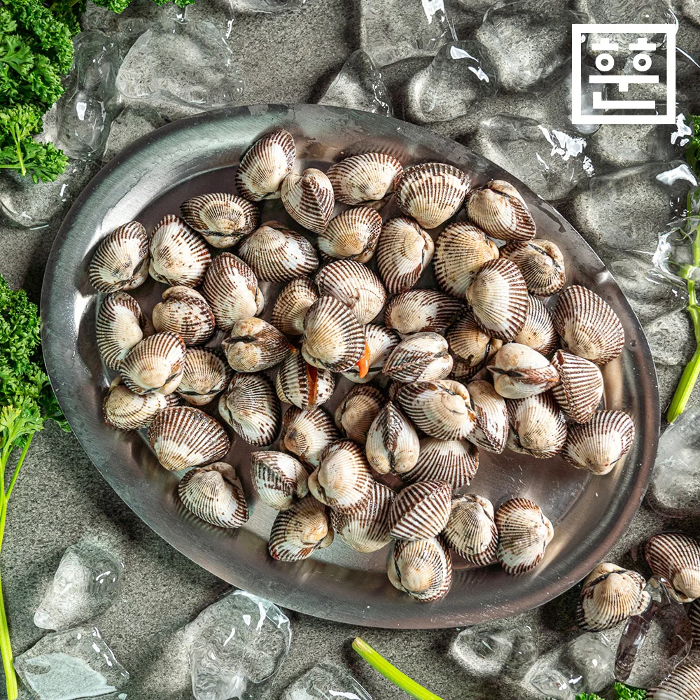 [훈훈수산] 당일조업 국내산 벌교 새꼬막 1kg 산지직송